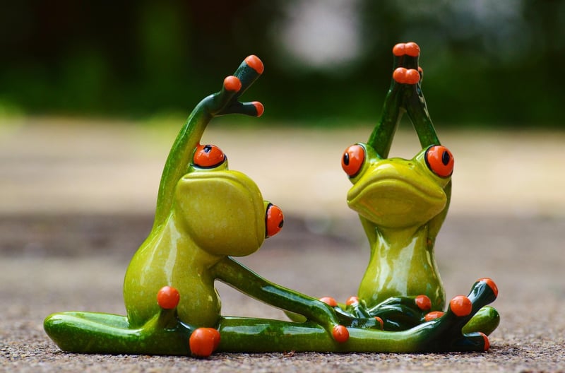 Flexible Fitness